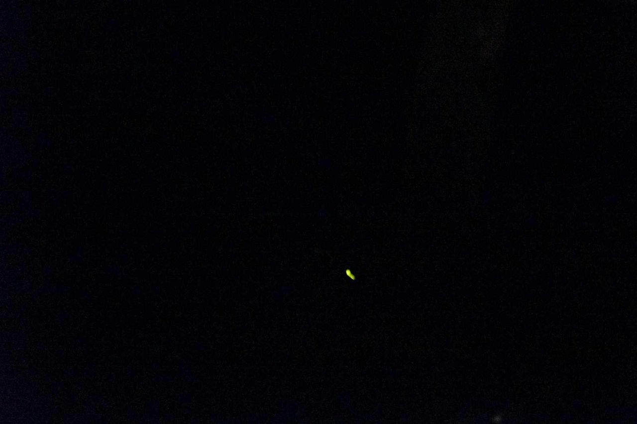 東京都文京区関口 ほたるの夕べ期間の椿山荘庭園でホタルを見学 都心でホタルが飛び交うのは珍しいと思います 名水遊戯管理人日本散策ガイド