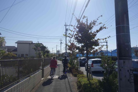 s-_DSC8415