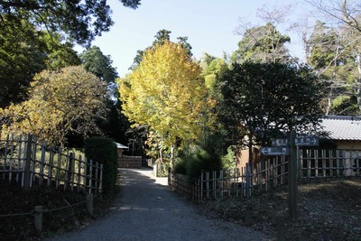 45c8310f.jpg