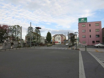 10293459.jpg