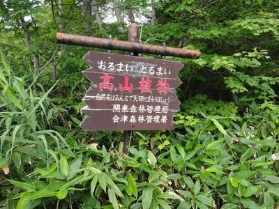 s-DSC02342