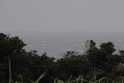 7f02f977.jpg