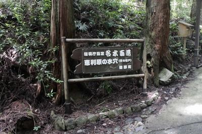 s-_MG_9588