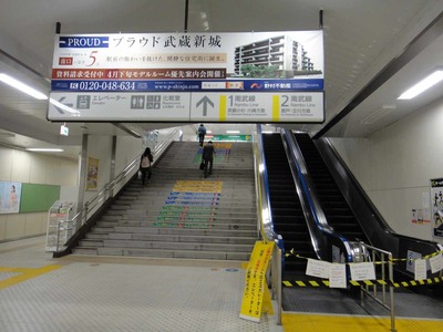 265e5dd3.jpg