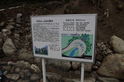 s-_MG_8969