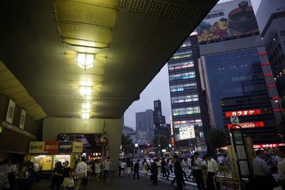 たまに行くならこんな店　夏に鳴ると涼しく感じる風鈴がお店の名前についた「銀座和風創作居酒屋風鈴」は銀座なのに飲み放題付きで3000円台からイケます