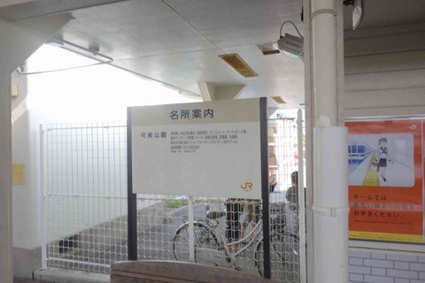 s-_DSC0879