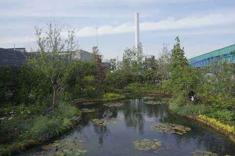 s-_DSC4582