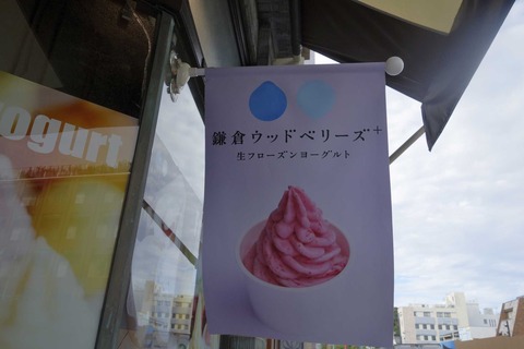 たまに行くならこんな店 古都鎌倉にもフローズンヨーグルトの名店「鎌倉ウッドベリーズプラス」があったので美味しいフローズンヨーグルトを頂いてきました