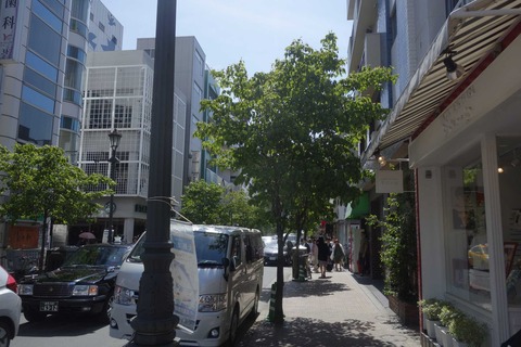 s-_DSC4498