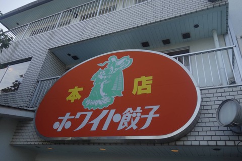 たまに行くならこんな店 数年ぶりに足を運んだ「ホワイト餃子野田本店」で久々にホワイト餃子を食べてみたら、何となく柏店の方が美味しく感じたのは気のせいではないのかも？