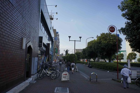 s-_DSC0811