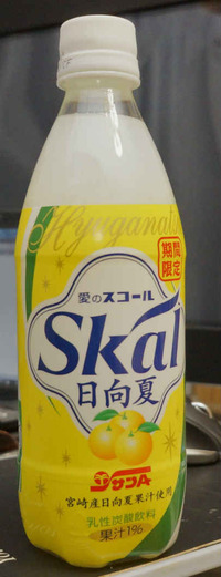 今日の飲み物　宮崎産日向夏果汁使用「愛のスコールSkal日向夏」サンAロゴ入り