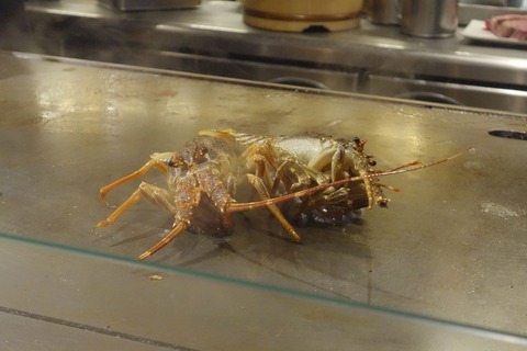 たまに行くならこんな店　渋谷道玄坂のホテル街真っ只中にある「鉄板焼 天 渋谷店」では、豪華食材を美味しく焼き上げた鉄板焼きがしっかり楽しめます