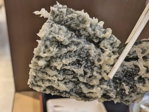 SGCAM_20250326_003252948