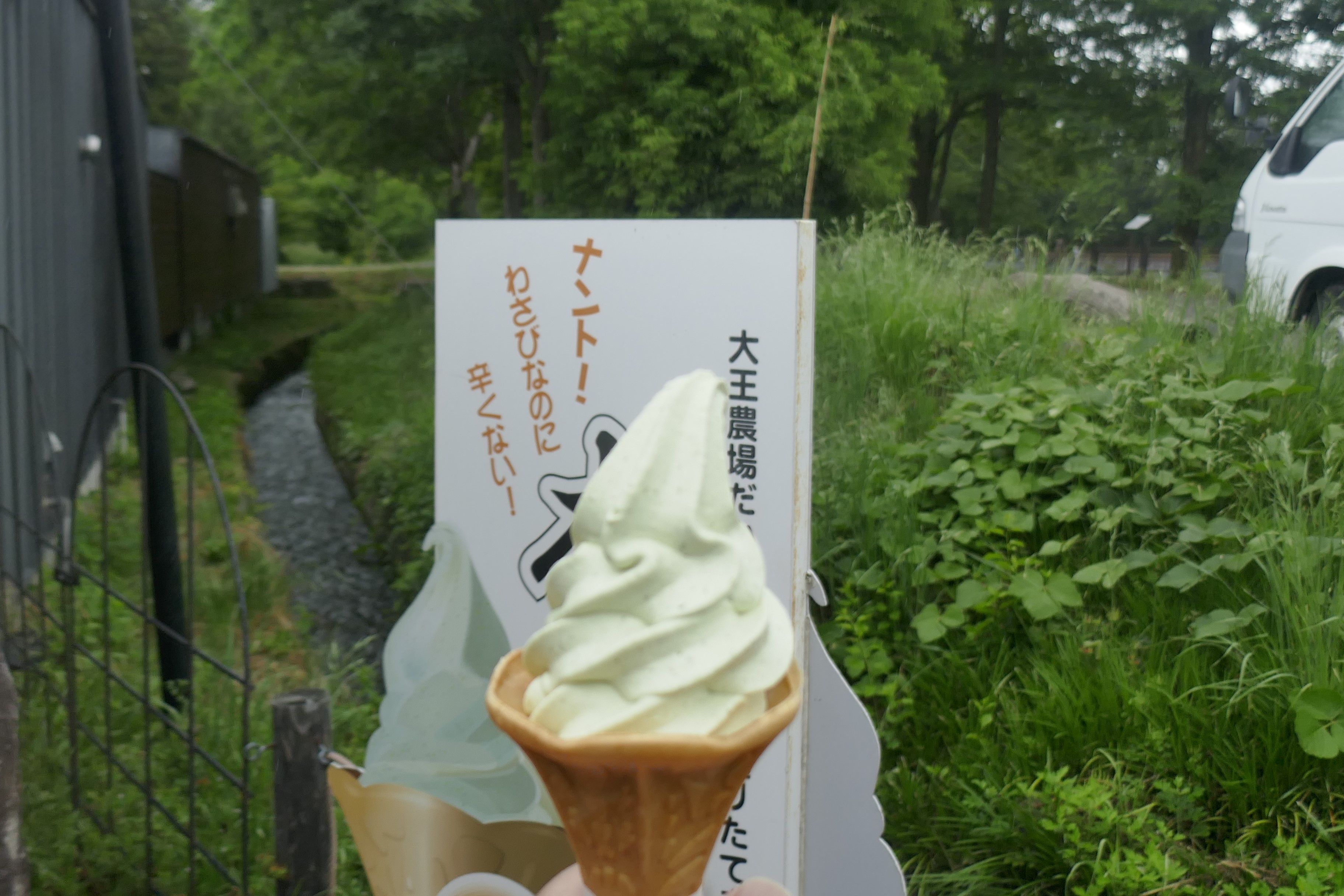たまに行くならこんな店 名水百選の地 安曇野わさび田湧水群 の水源の1つ 大王わさび農場 の 大王わさび農場 テイクアウトコーナー で 本わさびソフト クリーム を食す 食べ飲み遊戯 たまに行くならこんな店 名水百選の地 安曇野わさび田湧水群 の水源の1つ 大王わさび農場 の 大王わさび農場 テイクアウトコーナー で 本わさびソフト クリーム を食す 食べ飲み遊戯