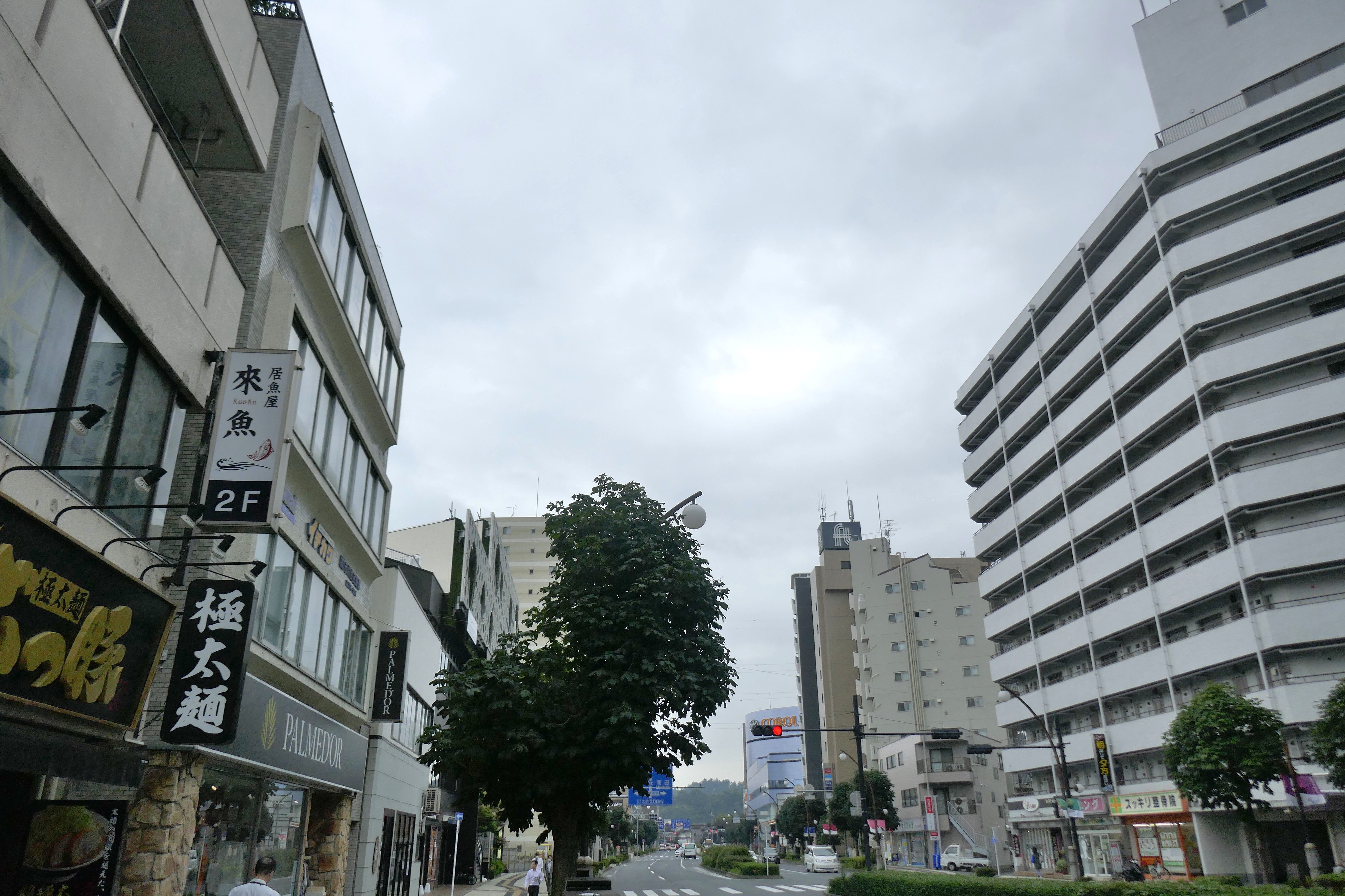 たまに行くならこんな店 ジブリアニメの聖地聖蹟桜ヶ丘駅の ぶっ豚 聖蹟桜ヶ丘店 で ゴリゴリぐわしな食感の500ｇ入りの太麺が癖になる 油そば大 を食す メシレポ