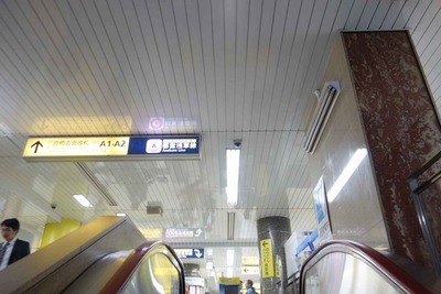 d9e1a53d.jpg