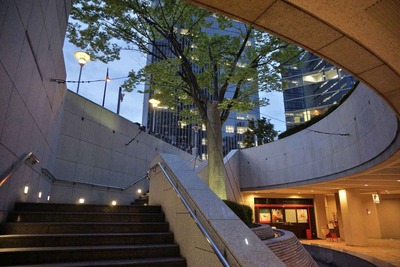 d8330270.jpg