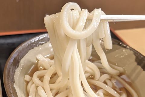 たまに行くならこんな店　池袋駅中の「讃岐うどん めりけんや IKE麺KITCHEN池袋店 」で、うどんのコシ、出汁の旨味グーな「冷やしぶっかけうどん」と「海苔天」を食す！