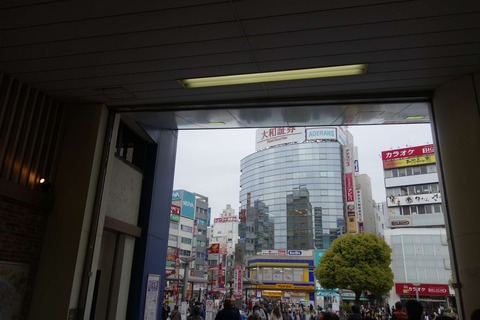 s-_DSC9415