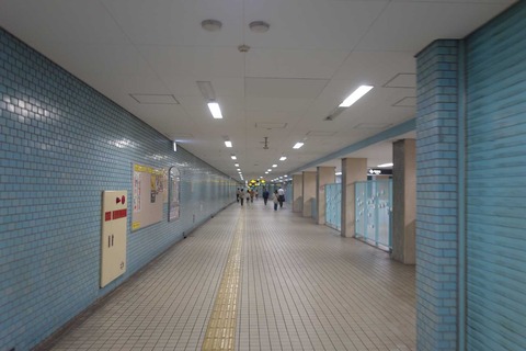 s-_DSC6505