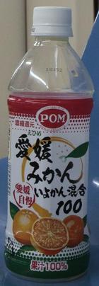 今日の飲み物　愛媛みかん いよかん混合100