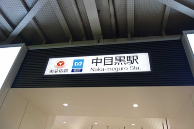 448dc052.jpg