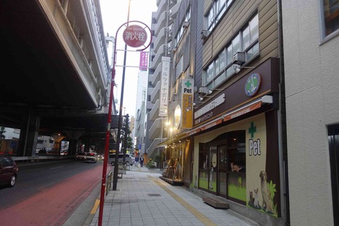 たまに行くならこんな店 イケジリーナの集う池尻大橋駅チカでピッツァと共に様々な料理を楽しめるナポリピッツァの名店 フォルツァ ナポリ は価格もお値ごろでオススメです メシレポ たまに行くならこんな店 イケジリーナの集う池尻大橋駅チカでピッツァと共に様々な料理を楽しめるナポリピッツァの名店 フォルツァ ナポリ は価格もお値ごろでオススメです メシレポ
