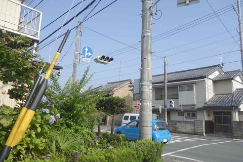 s-_DSC0900
