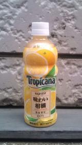 今日の飲み物 冬に美味しい『味わい柑橘』 トロピカーナハーベスト味わい柑橘熟度指定100%