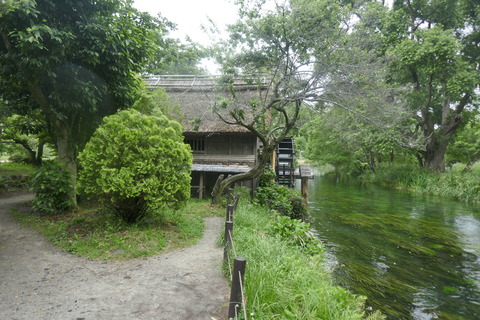 長野県安曇野市の名勝地「安曇野わさび田湧水群」に属する「大王わさび農場」内の「大王わさび農場 テイクアウトコーナー 」まとめページ！