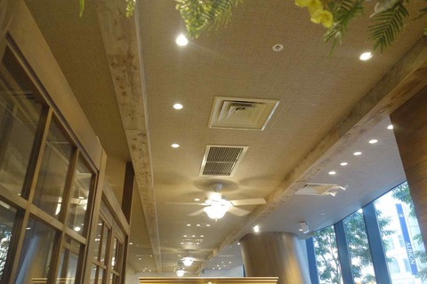 s-_DSC7788