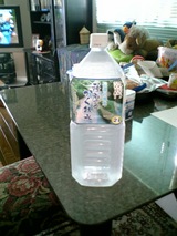 今日の水 薩摩の隠れ水