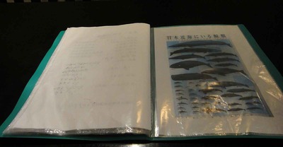 31d11612.jpg