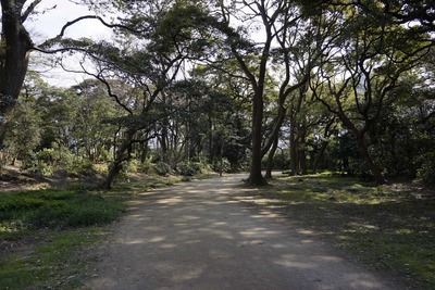 2012年とある春の日の東京都臨海地区遊戯(大田区・港区・中央区)　浜離宮恩賜庭園見学中盤編