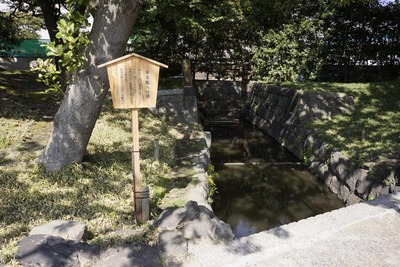 f0460e41.jpg