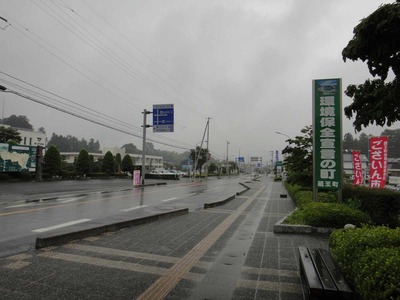 d4037b3b.jpg