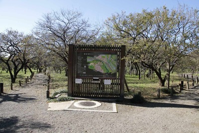 2010年茨城小旅行水戸編　偕楽園散策前編(オフシーズンの梅林と竹林に吐玉泉)