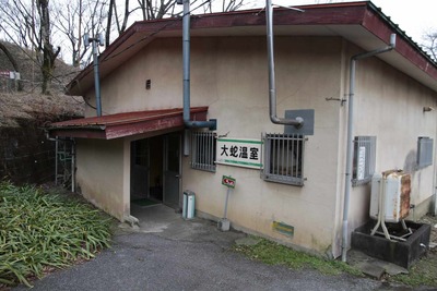 2011冬のグンマー＆雪國新潟旅行　2日目スネークセンター　大蛇温室と白蛇観音編
