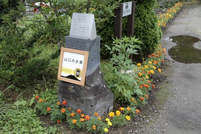 73488443.jpg
