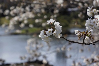 74f2a6d5.jpg