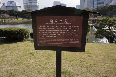 3f492366.jpg