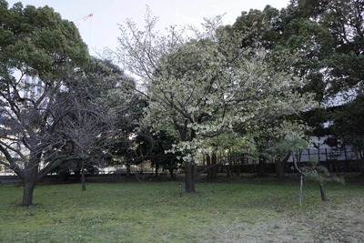 2753d77f.jpg