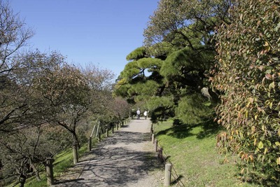 e28c90f7.jpg