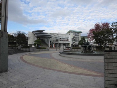 abc4df55.jpg