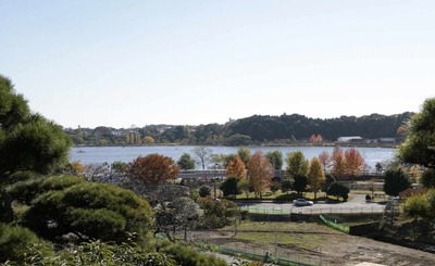 73f73499.jpg