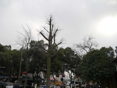 8eeb63f7.jpg