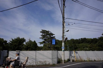 2012年6月関西からの友人との都内小遊戯　 芥川龍之介や高村光太郎・智恵子の眠る染井霊園を見学