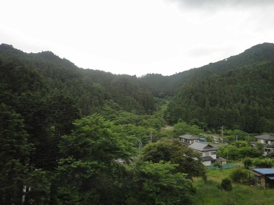 3a81b090.jpg